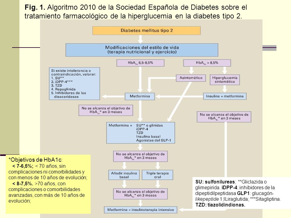 Fig. 1. Algoritmo 2010 de la Sociedad Española de Diabetes sobre el tratamiento farmacológico de la hiperglucemia en la diabetes tipo 2.