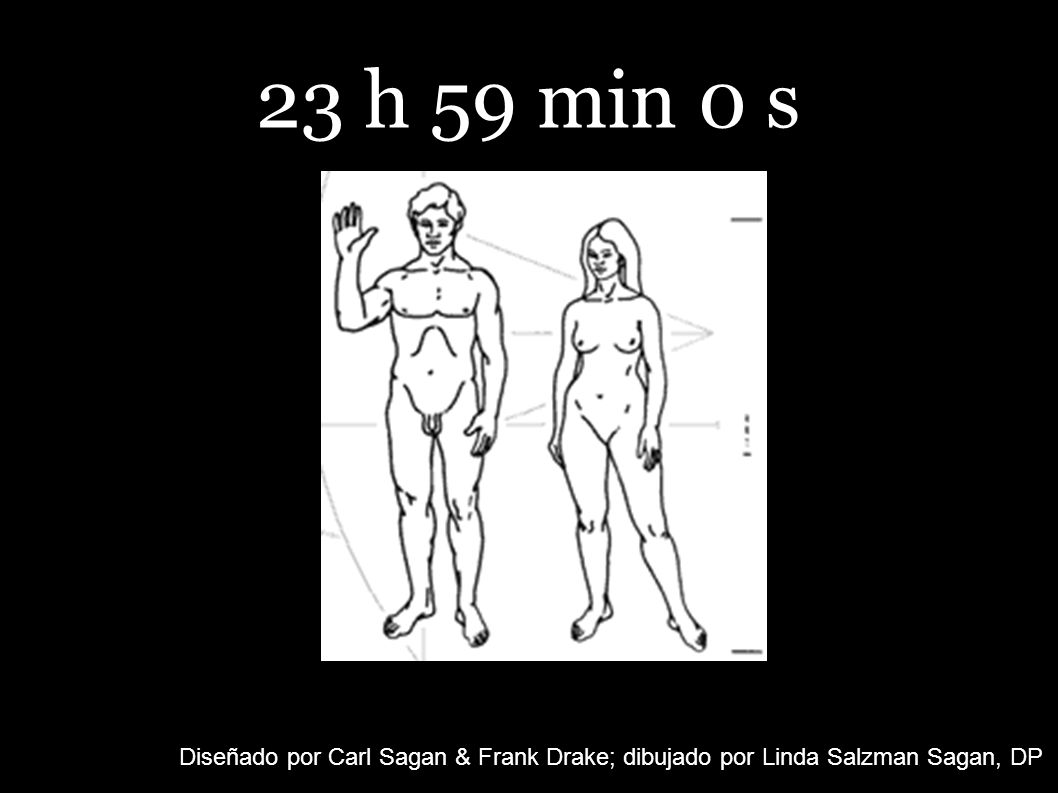 23 h 59 min 0 s Diseñado por Carl Sagan & Frank Drake; dibujado por Linda Salzman Sagan, DP