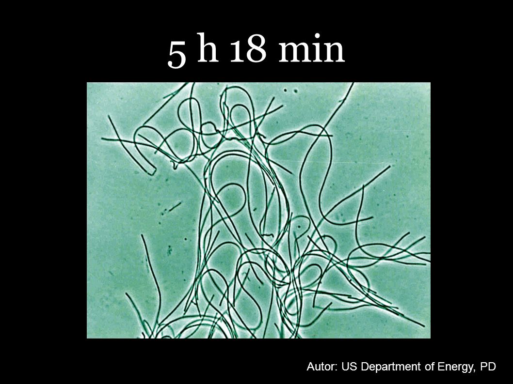 5 h 18 min Autor: US Department of Energy, PD