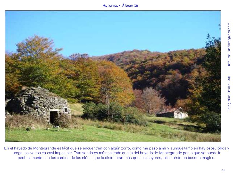Asturias - Álbum 16