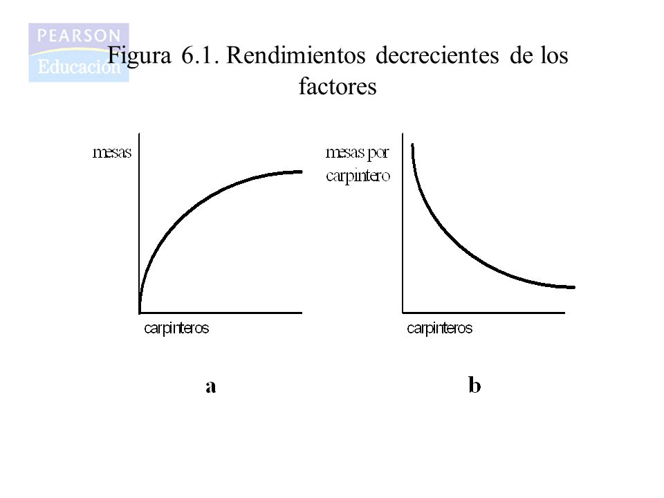 Figura 6.1. Rendimientos decrecientes de los factores