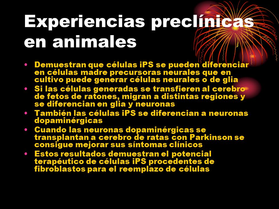 Experiencias preclínicas en animales