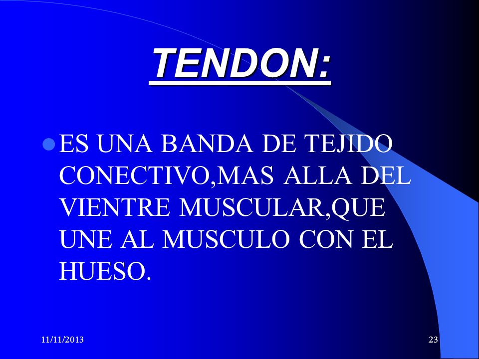 TENDON: ES UNA BANDA DE TEJIDO CONECTIVO,MAS ALLA DEL VIENTRE MUSCULAR,QUE UNE AL MUSCULO CON EL HUESO.