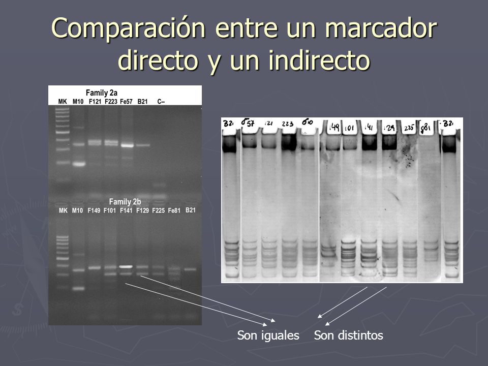 Comparación entre un marcador directo y un indirecto