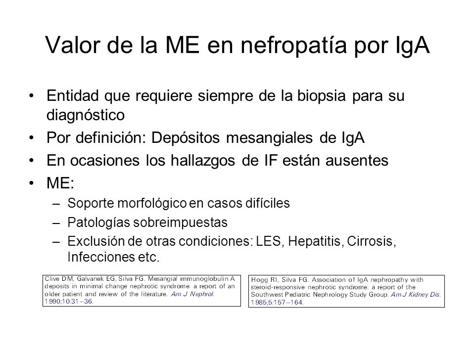 Valor de la ME en nefropatía por IgA