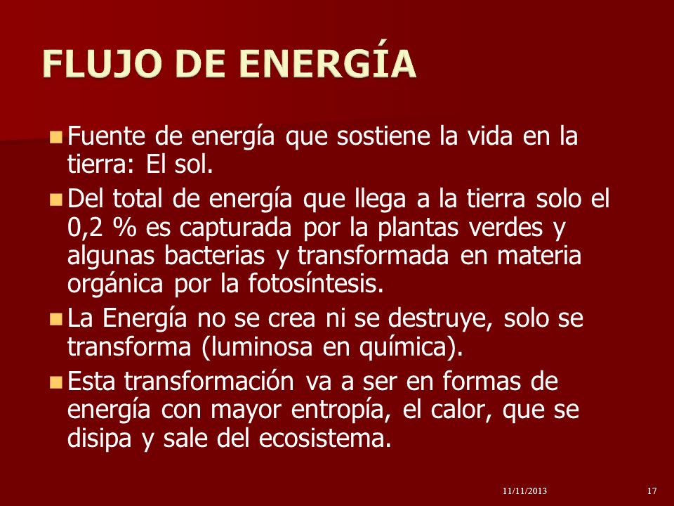 FLUJO DE ENERGÍA Fuente de energía que sostiene la vida en la tierra: El sol.