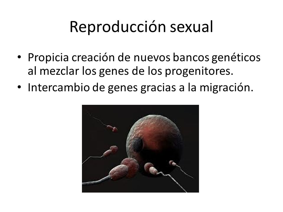 Reproducción sexual Propicia creación de nuevos bancos genéticos al mezclar los genes de los progenitores.