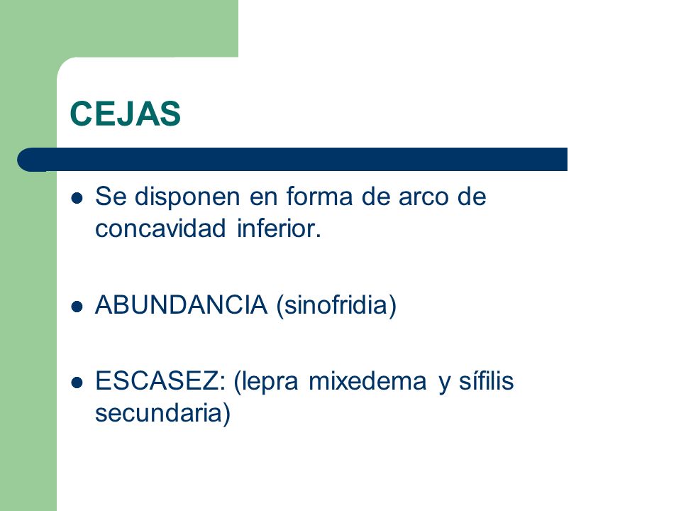CEJAS Se disponen en forma de arco de concavidad inferior.