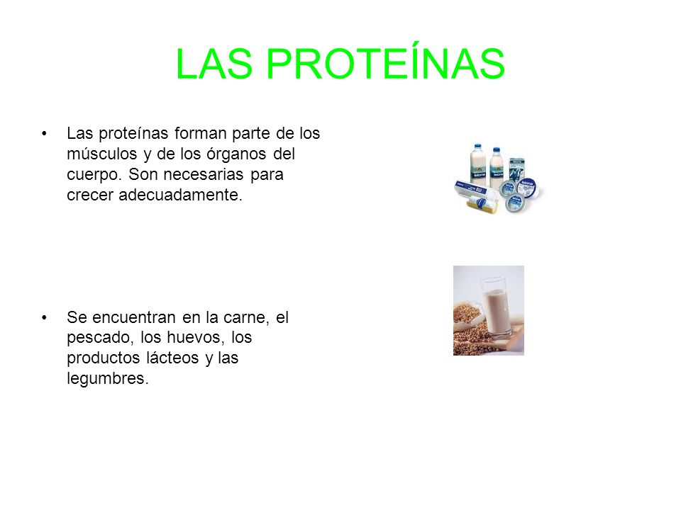 LAS PROTEÍNAS Las proteínas forman parte de los músculos y de los órganos del cuerpo. Son necesarias para crecer adecuadamente.