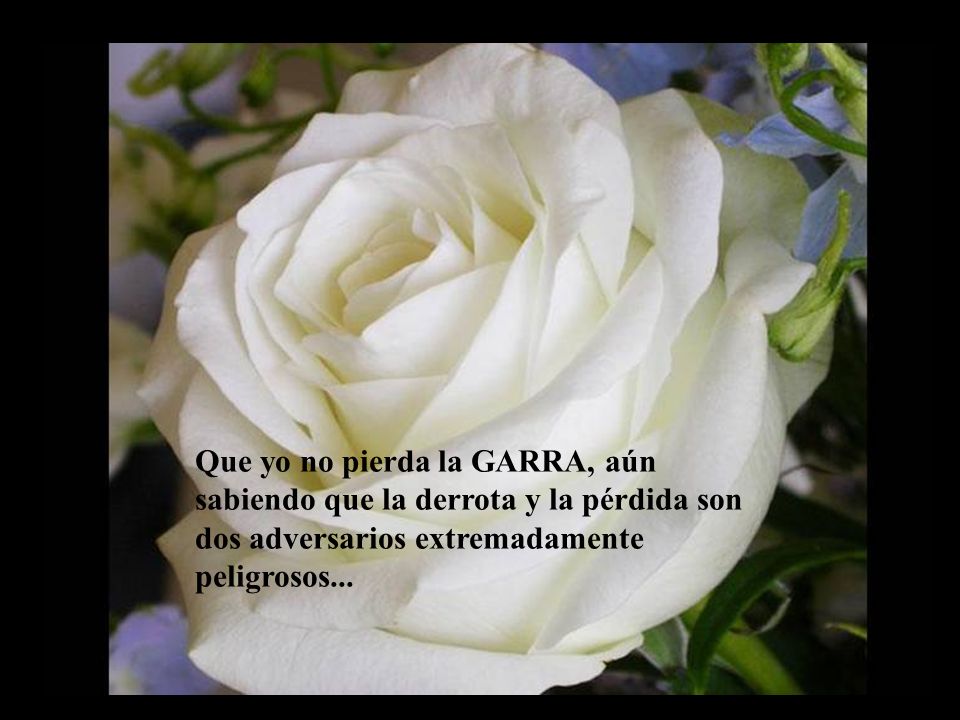 Que yo no pierda la GARRA, aún sabiendo que la derrota y la pérdida son dos adversarios extremadamente peligrosos...