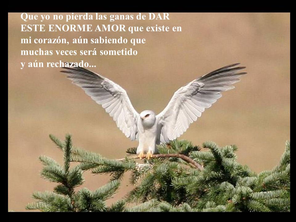 Que yo no pierda las ganas de DAR ESTE ENORME AMOR que existe en mi corazón, aún sabiendo que muchas veces será sometido y aún rechazado...