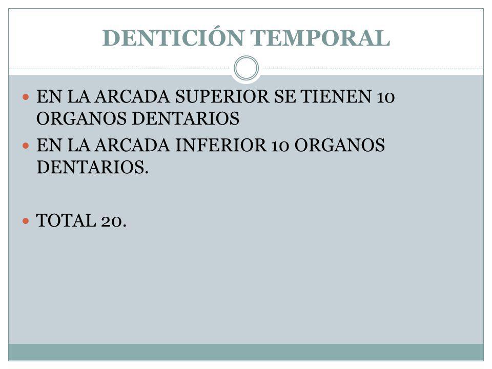 DENTICIÓN TEMPORAL EN LA ARCADA SUPERIOR SE TIENEN 10 ORGANOS DENTARIOS. EN LA ARCADA INFERIOR 10 ORGANOS DENTARIOS.