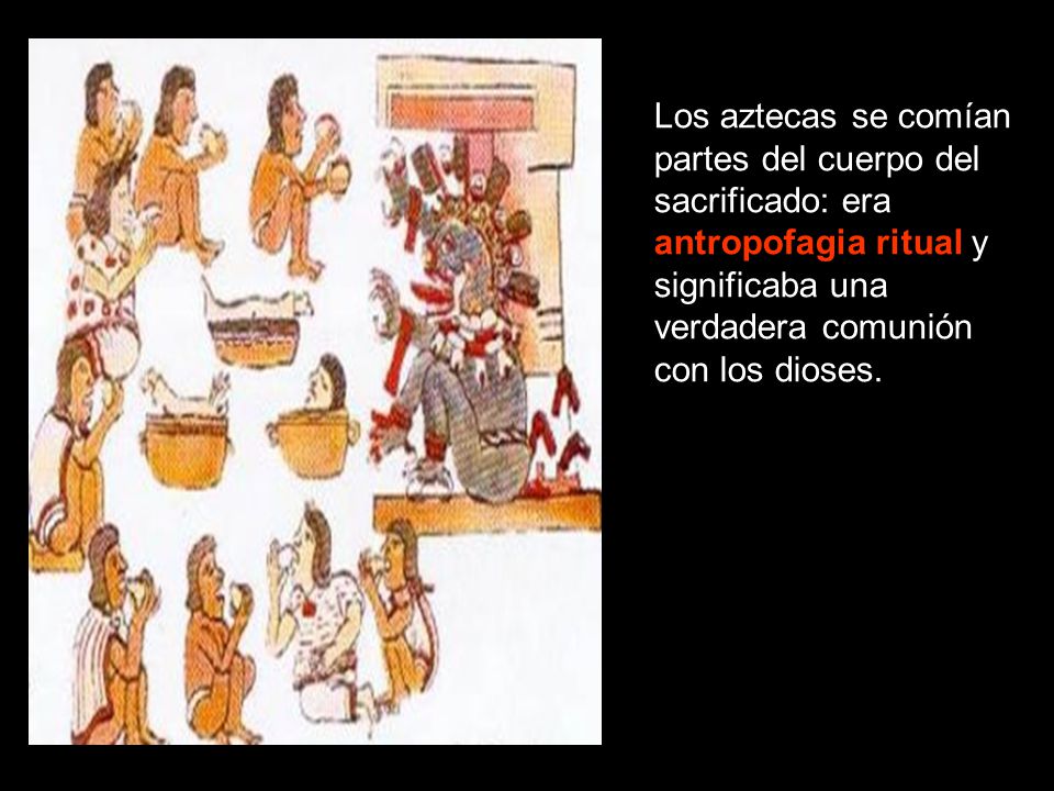 Los aztecas se comían partes del cuerpo del sacrificado: era antropofagia ritual y significaba una verdadera comunión con los dioses.