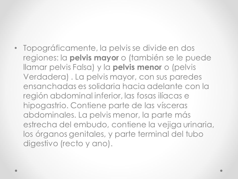 Topográficamente, la pelvis se divide en dos regiones: la pelvis mayor o (también se le puede llamar pelvis Falsa) y la pelvis menor o (pelvis Verdadera) .