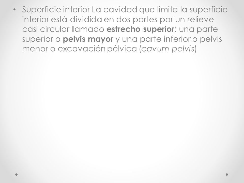 Superficie interior La cavidad que limita la superficie interior está dividida en dos partes por un relieve casi circular llamado estrecho superior: una parte superior o pelvis mayor y una parte inferior o pelvis menor o excavación pélvica (cavum pelvis)