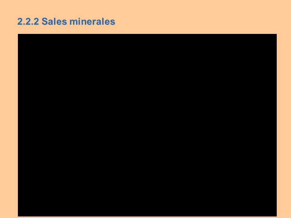 2.2.2 Sales minerales