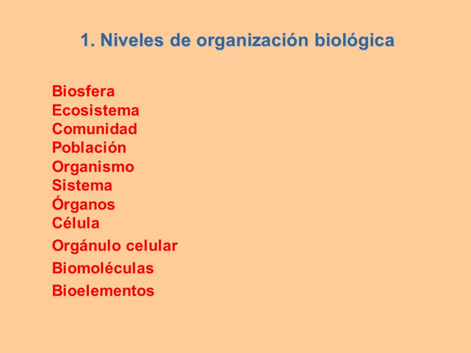 1. Niveles de organización biológica