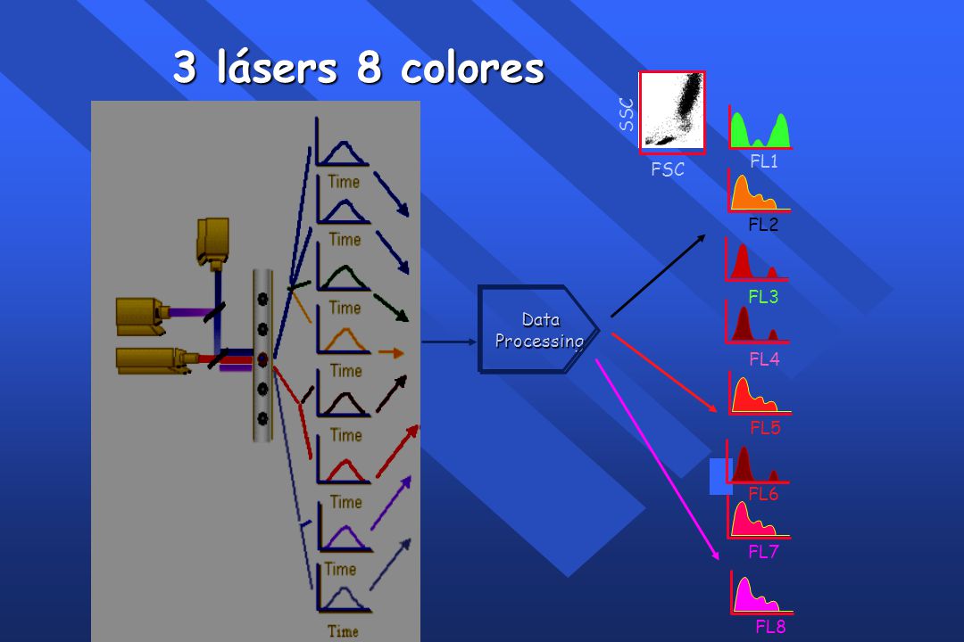 3 lásers 8 colores SSC FL1 FSC FL2 FL3 Data Processing FL4 FL5 FL6 FL7