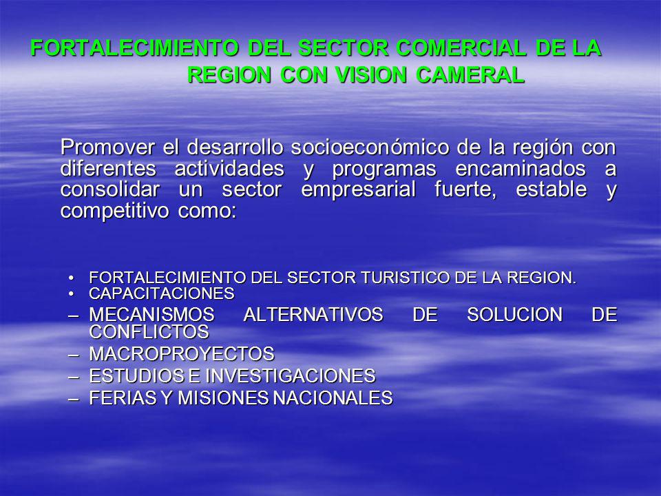 FORTALECIMIENTO DEL SECTOR COMERCIAL DE LA REGION CON VISION CAMERAL