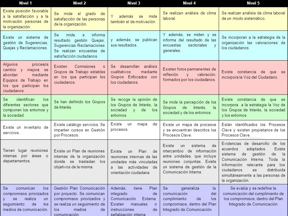 Nivel 1 Nivel 2. Nivel 3. Nivel 4. Nivel 5. Existe posición favorable a la satisfacción y a la motivación personas de la organización.