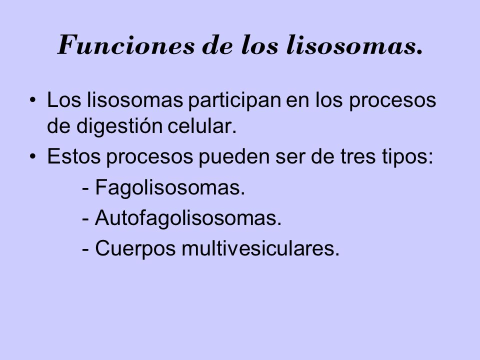 Funciones de los lisosomas.
