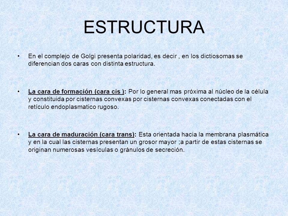 ESTRUCTURA En el complejo de Golgi presenta polaridad, es decir , en los dictiosomas se diferencian dos caras con distinta estructura.