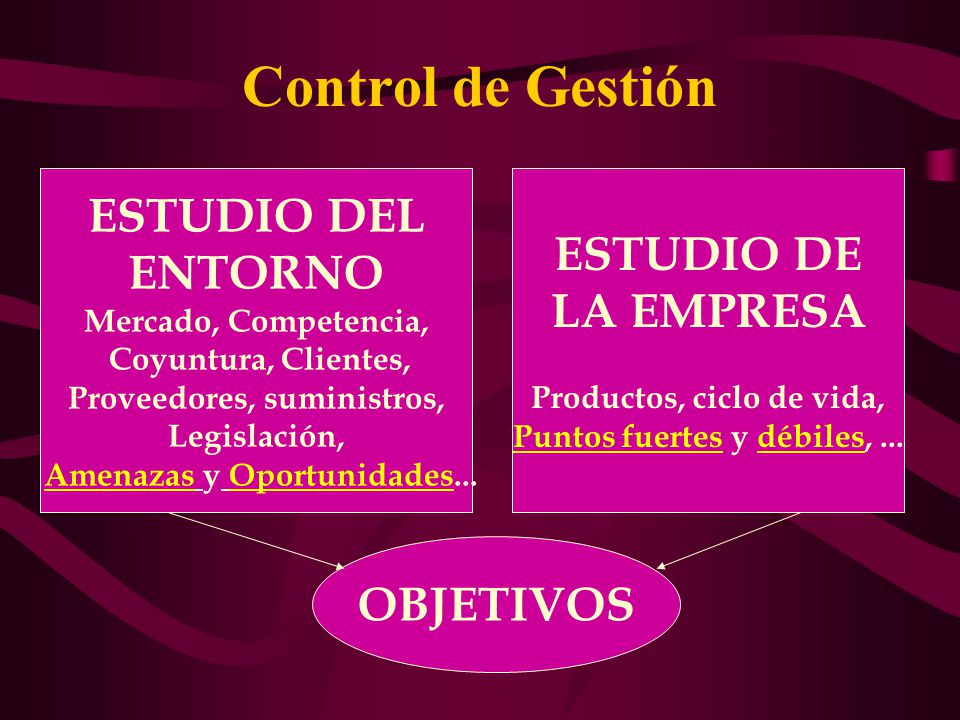 Control de Gestión ESTUDIO DEL ESTUDIO DE ENTORNO LA EMPRESA OBJETIVOS