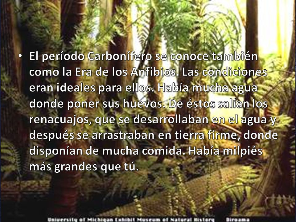 El período Carbonífero se conoce también como la Era de los Anfibios