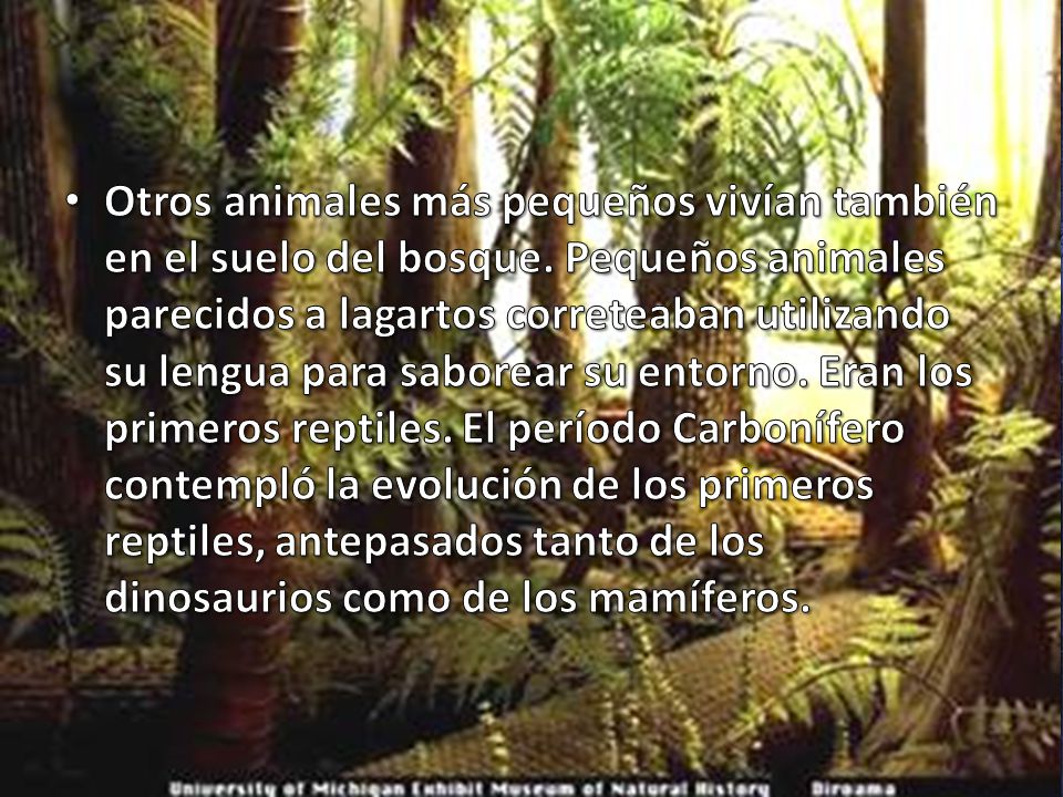 Otros animales más pequeños vivían también en el suelo del bosque