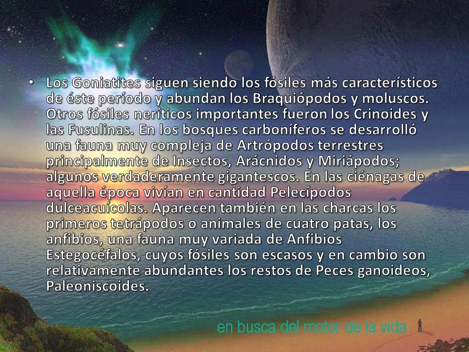 Los Goniatites siguen siendo los fósiles más característicos de éste período y abundan los Braquiópodos y moluscos.