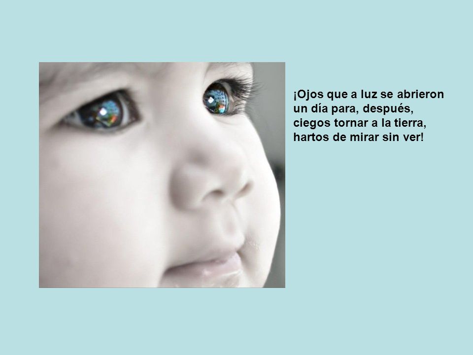 ¡Ojos que a luz se abrieron un día para, después, ciegos tornar a la tierra, hartos de mirar sin ver!