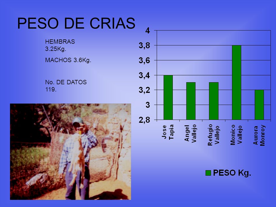 PESO DE CRIAS HEMBRAS 3.25Kg. MACHOS 3.6Kg. No. DE DATOS 119.
