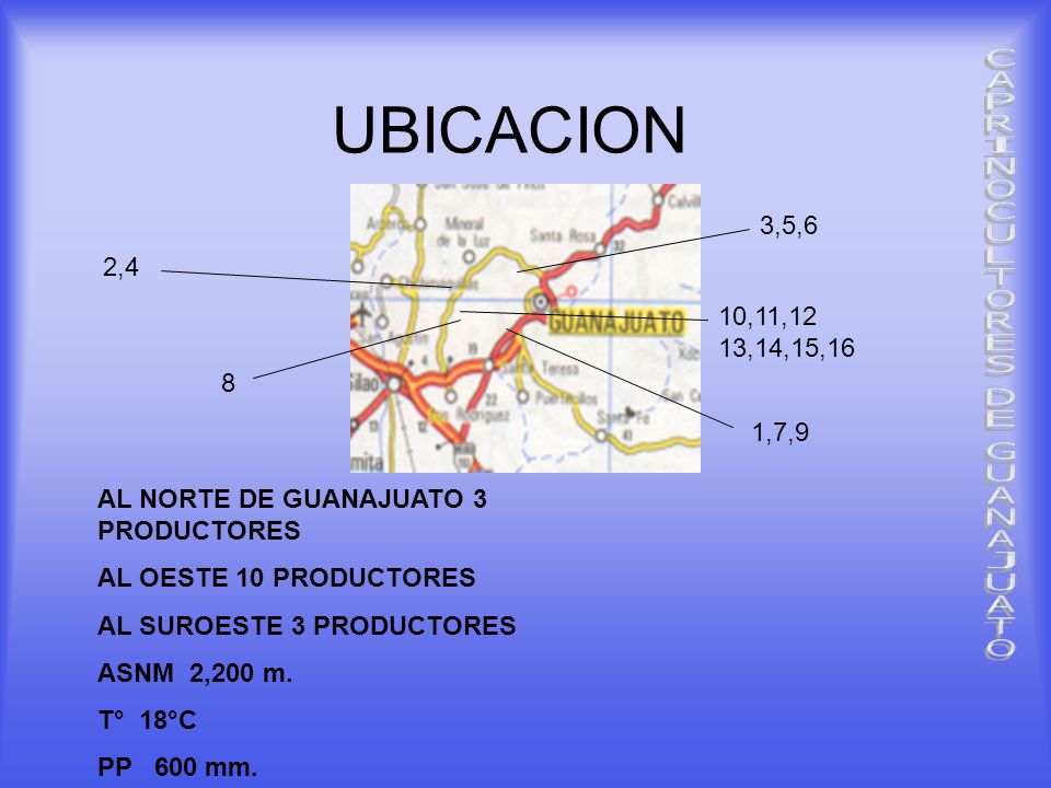 UBICACION 3,5,6. 2,4. 10,11,12. 13,14,15, ,7,9. AL NORTE DE GUANAJUATO 3 PRODUCTORES. AL OESTE 10 PRODUCTORES.