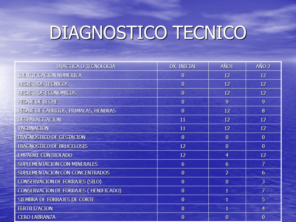 DIAGNOSTICO TECNICO PRACTICA O TECNOLOGIA DX. INICIAL AÑO1 AÑO 2