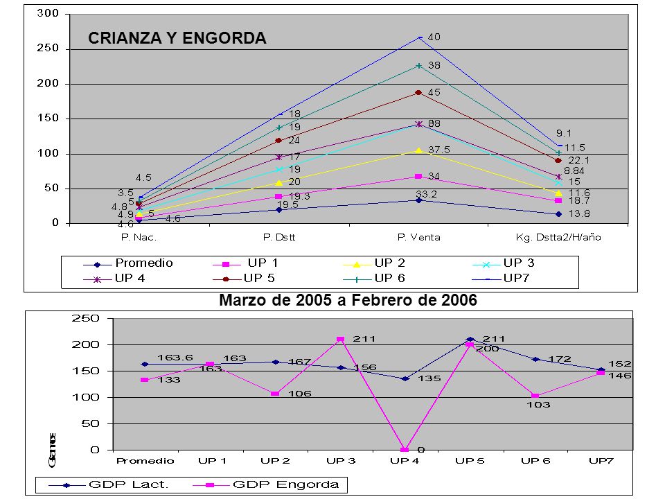CRIANZA Y ENGORDA Marzo de 2005 a Febrero de 2006