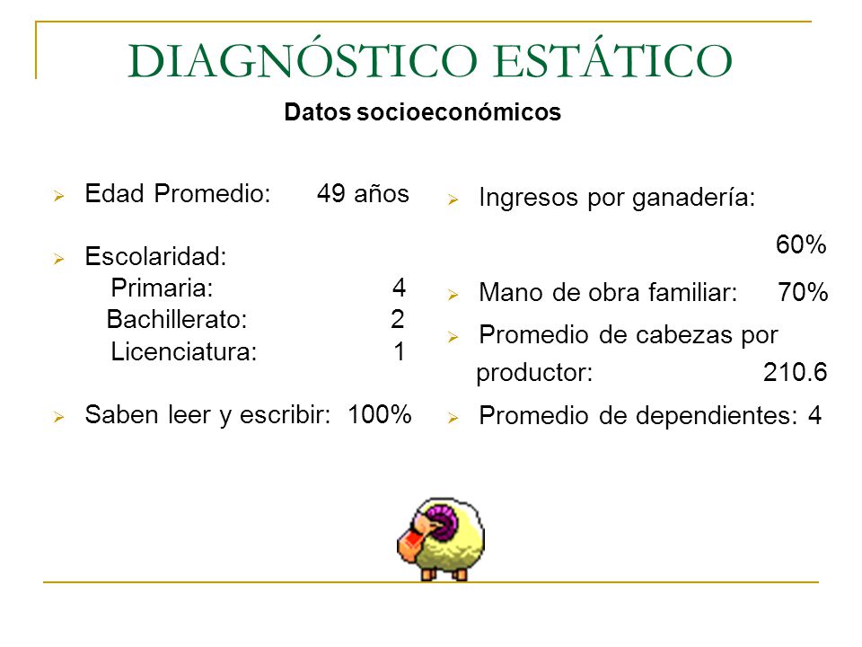 DIAGNÓSTICO ESTÁTICO Ingresos por ganadería: Edad Promedio: 49 años