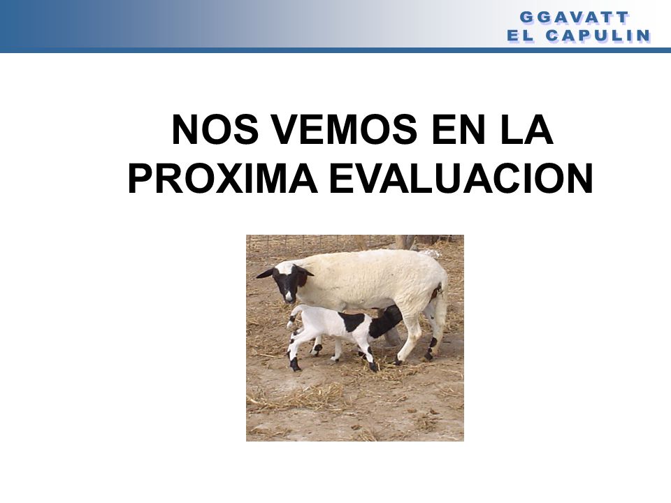 NOS VEMOS EN LA PROXIMA EVALUACION