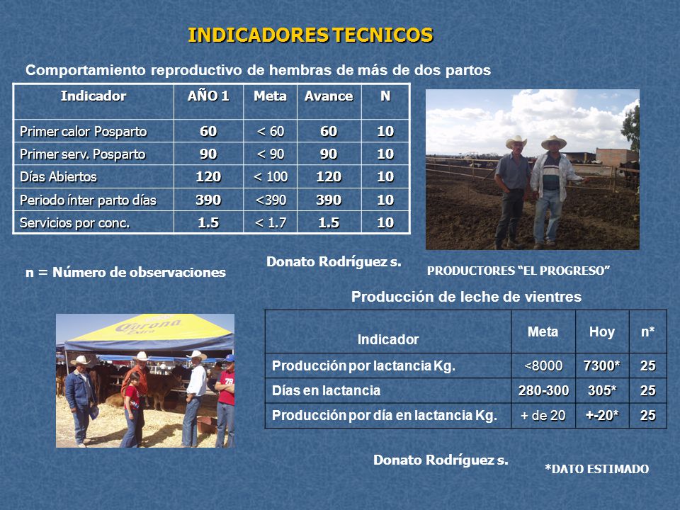 INDICADORES TECNICOS Comportamiento reproductivo de hembras de más de dos partos. Indicador. AÑO 1.
