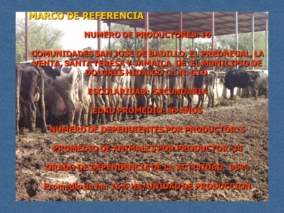 MARCO DE REFERENCIA NUMERO DE PRODUCTORES: 16