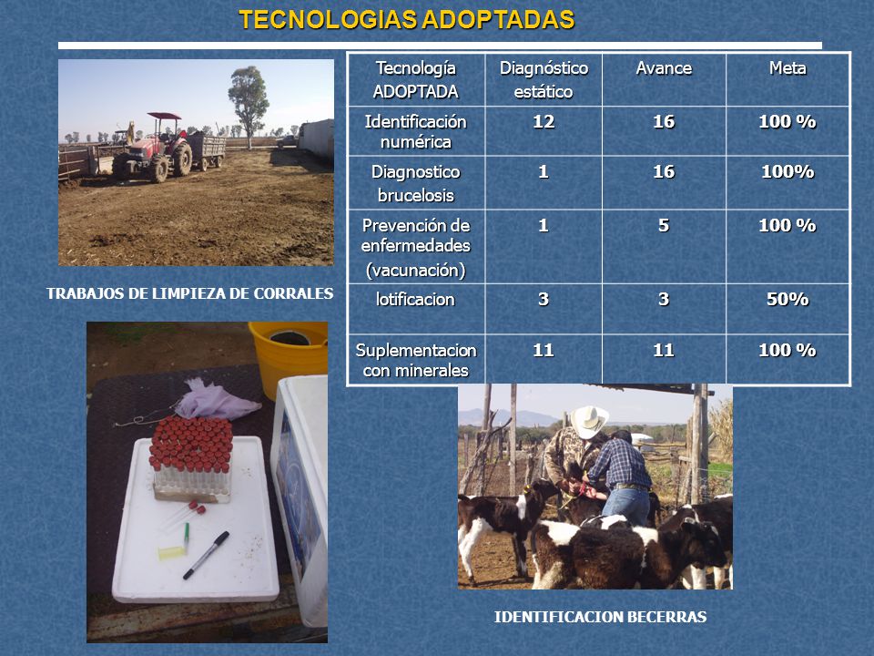 TECNOLOGIAS ADOPTADAS