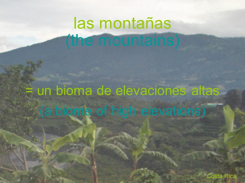las montañas (the mountains) = un bioma de elevaciones altas