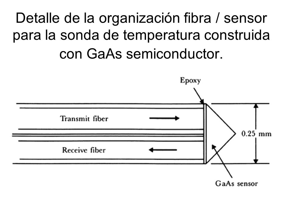 Detalle de la organización fibra / sensor para la sonda de temperatura construida con GaAs semiconductor.