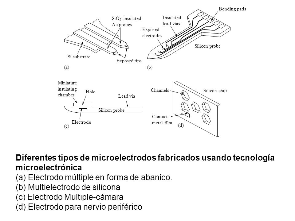 Bonding pads SiO2 insulated. Au probes. Insulated. lead vias. Exposed. electrodes. Silicon probe.
