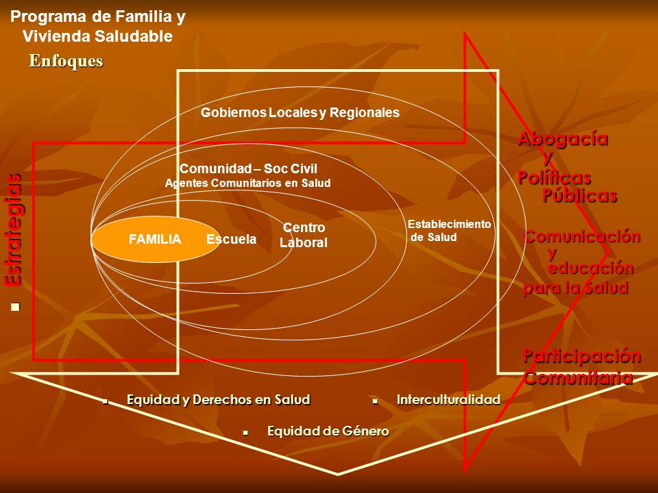 Programa de Familia y Vivienda Saludable Agentes Comunitarios en Salud