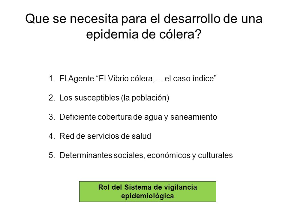 Que se necesita para el desarrollo de una epidemia de cólera