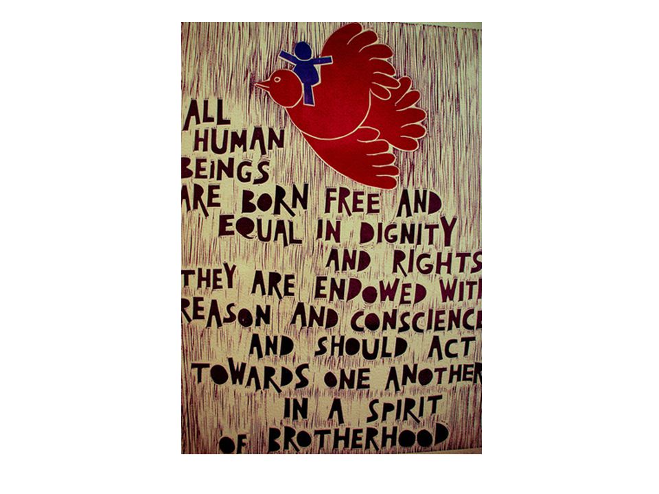 Todos los seres humanos nacen libres e iguales en dignidad y derechos