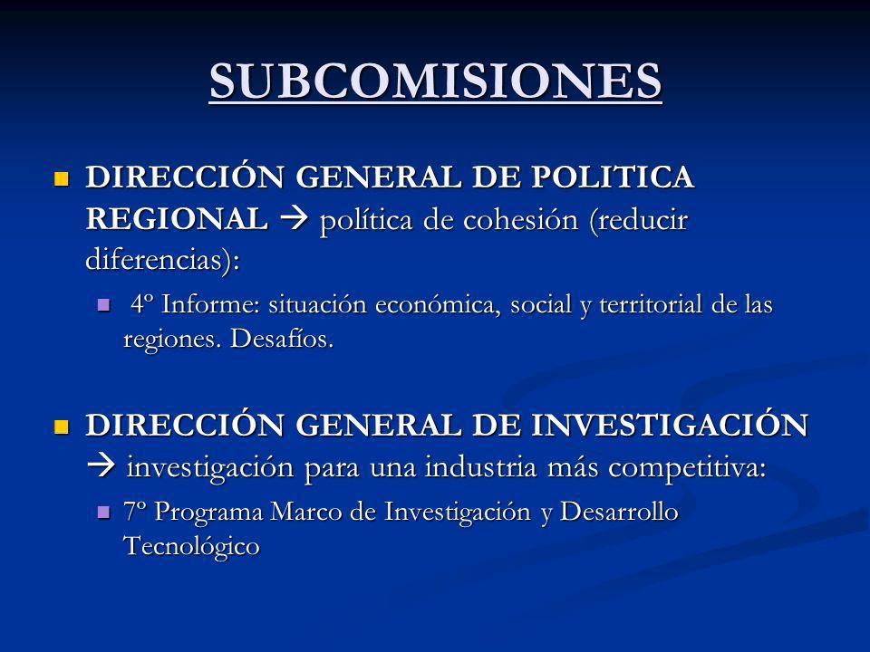 SUBCOMISIONES DIRECCIÓN GENERAL DE POLITICA REGIONAL  política de cohesión (reducir diferencias):