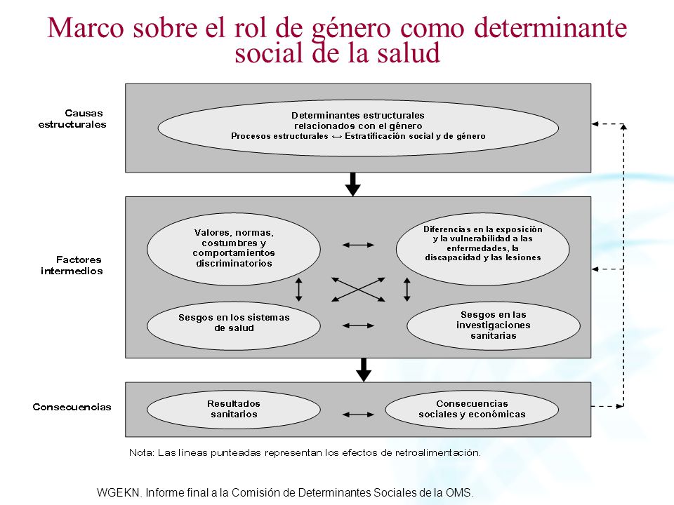 Marco sobre el rol de género como determinante social de la salud