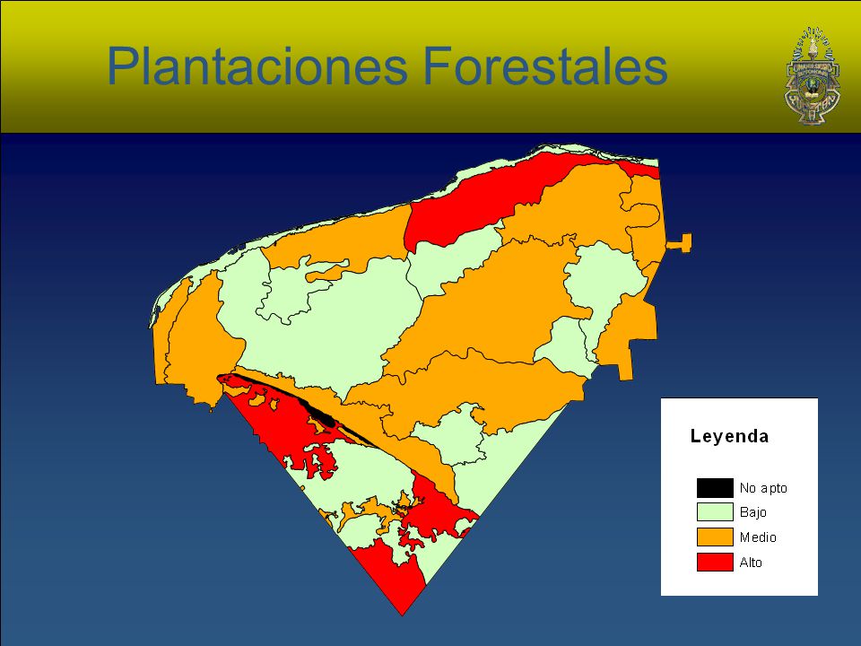 Plantaciones Forestales
