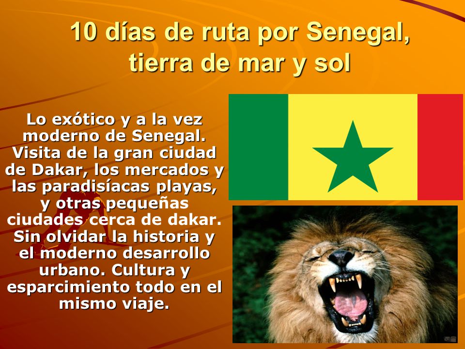 10 días de ruta por Senegal, tierra de mar y sol